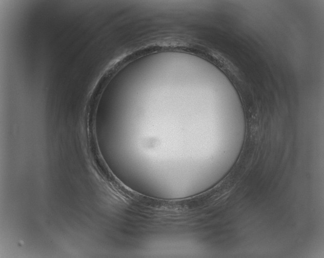 X0000072530727200607141009