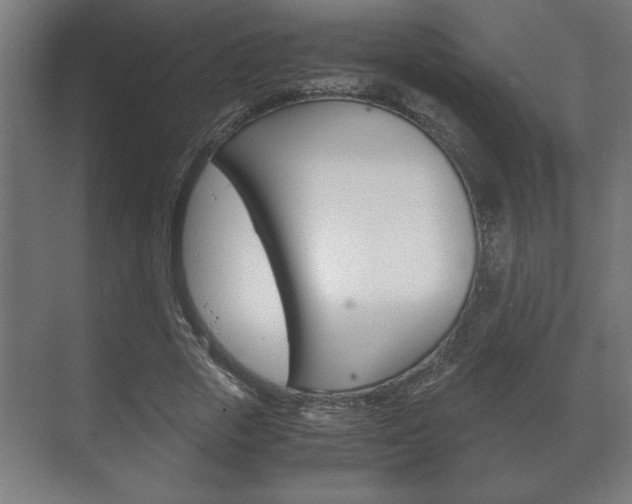 X0000072530729200607141009