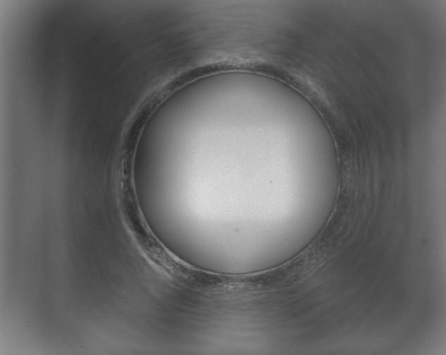X0000072530736200607141010