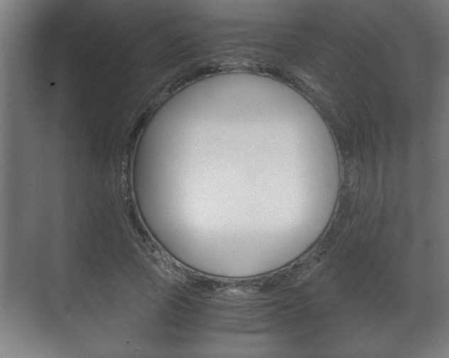 X0000072530737200607141010