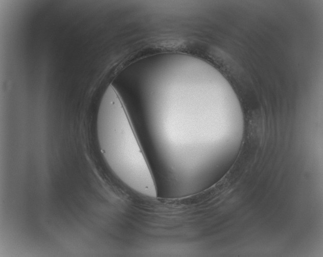 X0000072530739200607141010