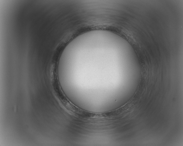 X0000072530742200607141010