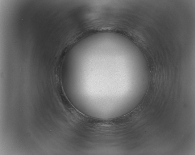 X0000072530743200607141010