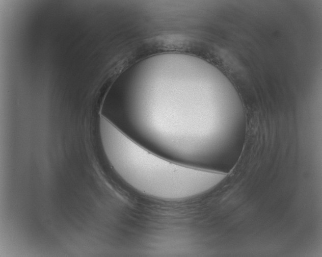 X0000072530744200607141010