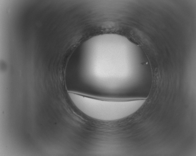 X0000072530756200607141010