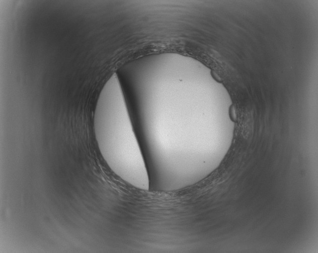 X0000072530770200607141009