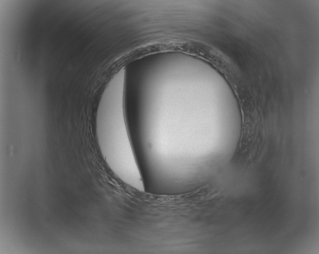 X0000072530773200607141009
