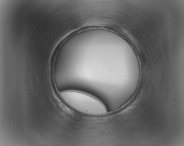 X0000072530779200607141009