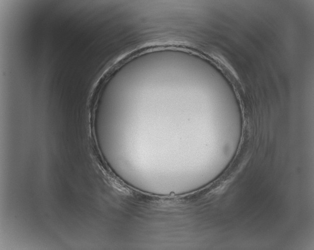 X0000072530781200607141009