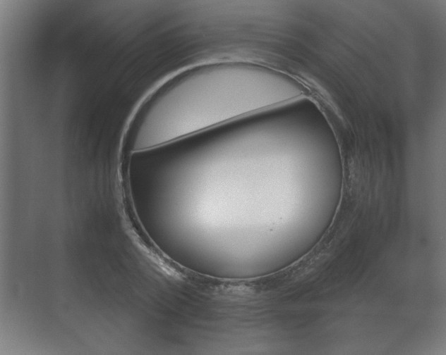 X0000072530784200607141009