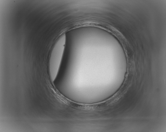 X0000072530785200607141009