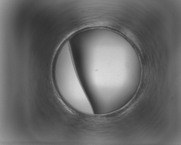 X0000072530789200607141009