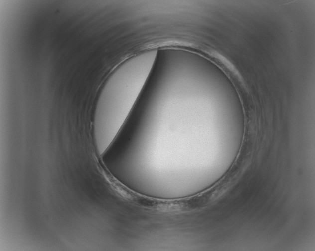 X0000072530793200607141009