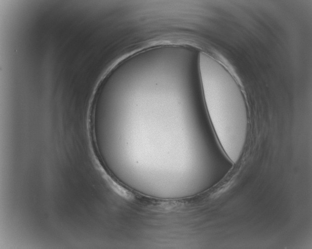 X0000072530803200607141009