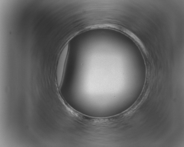 X0000072530809200607141009