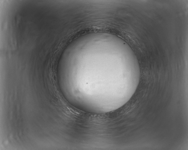 X0000072530817200607141008