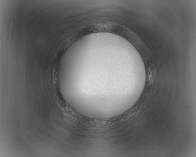 X0000072530819200607141008