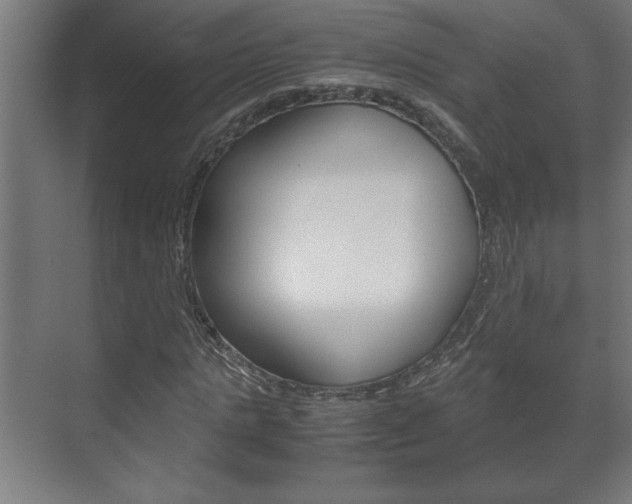 X0000072530821200607141008