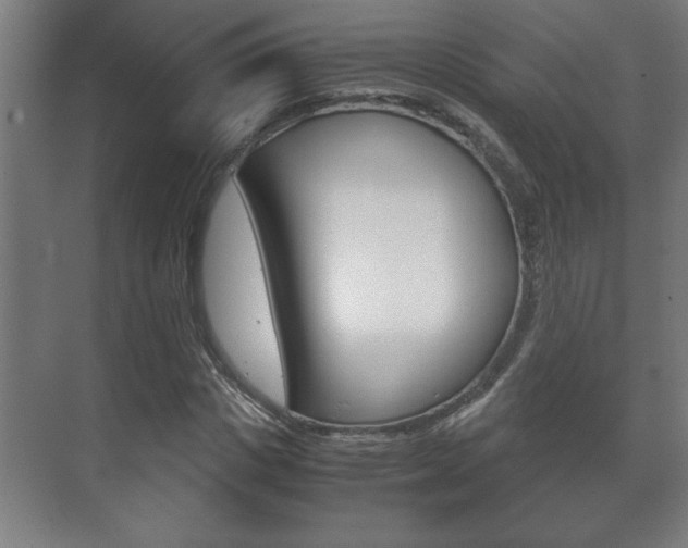 X0000072530825200607141008