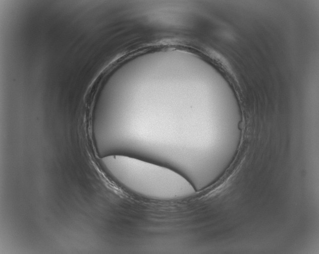 X0000072530827200607141008