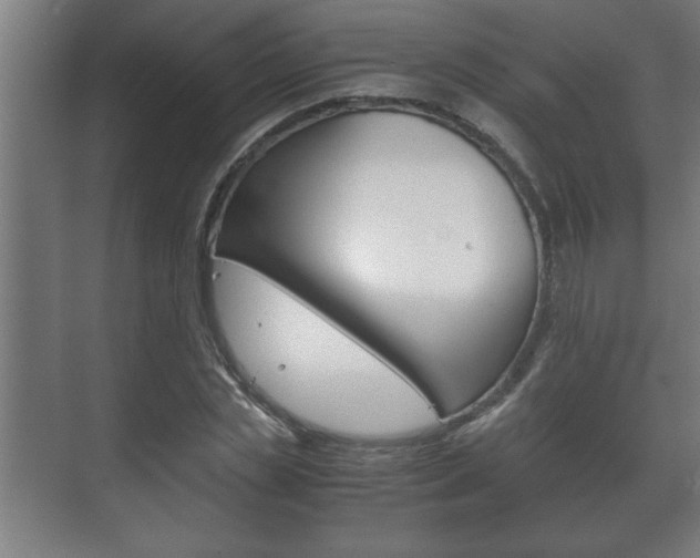 X0000072530829200607141008
