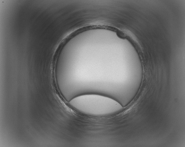 X0000072530831200607141008