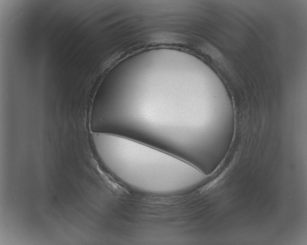 X0000072530833200607141008