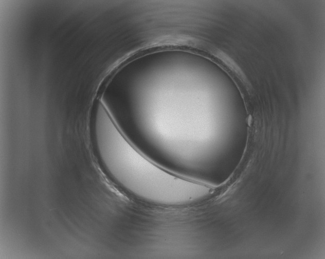 X0000072530834200607141008