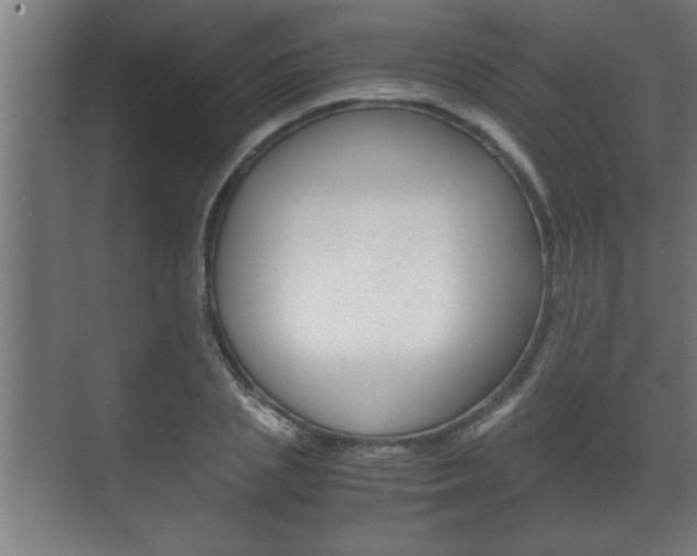 X0000072530837200607141008