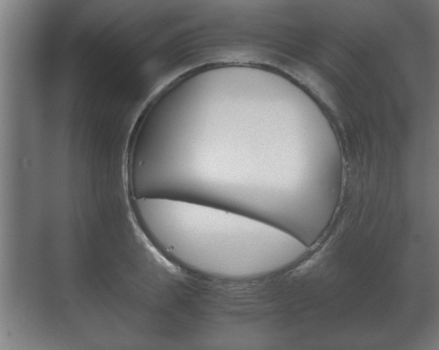 X0000072530839200607141008