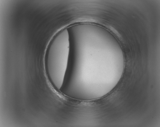 X0000072530840200607141008