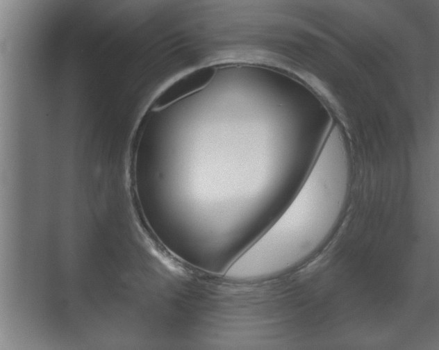 X0000072530846200607141008