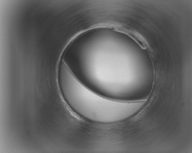 X0000072530854200607141008