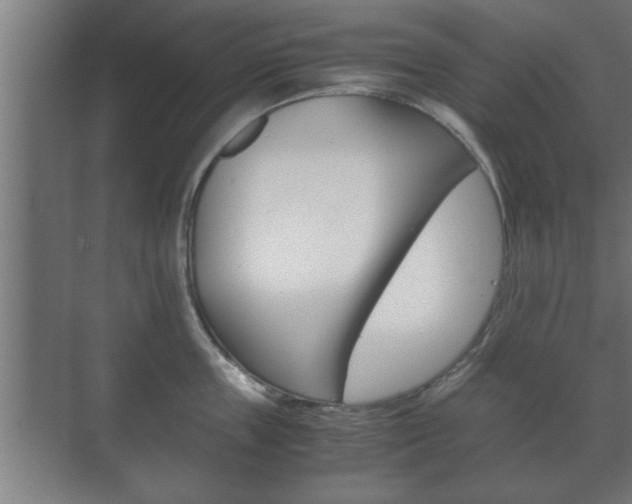 X0000072530859200607141008