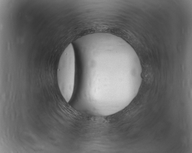 X0000072530866200607141008