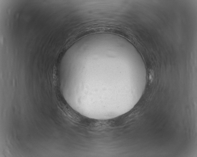X0000072530867200607141008