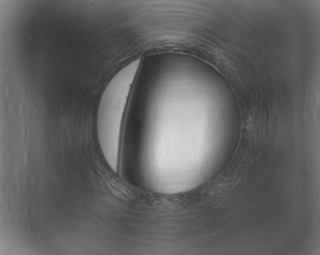 X0000072530868200607141008
