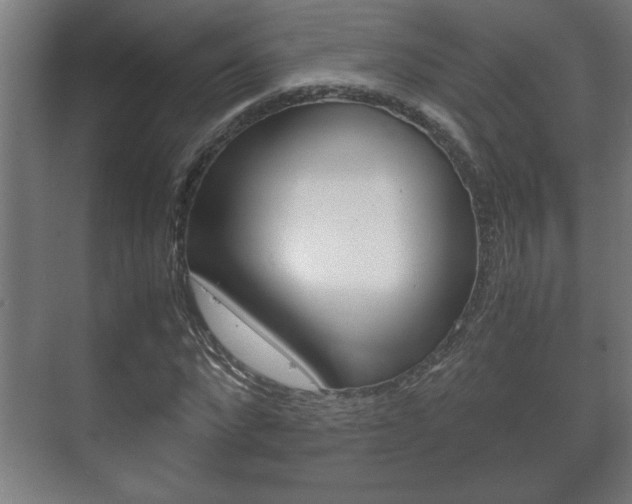X0000072530872200607141008