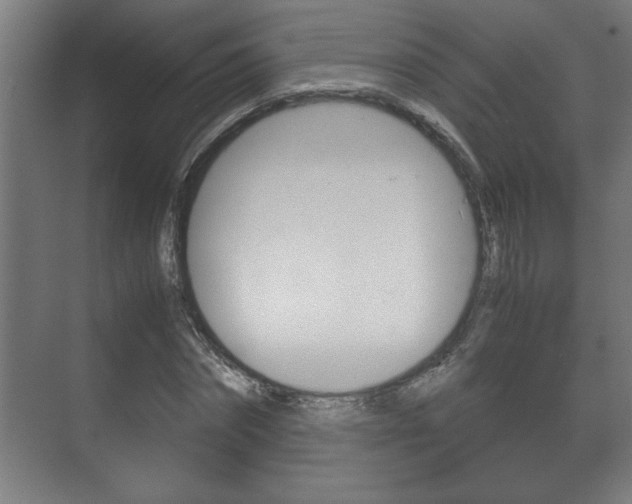 X0000072530874200607141008