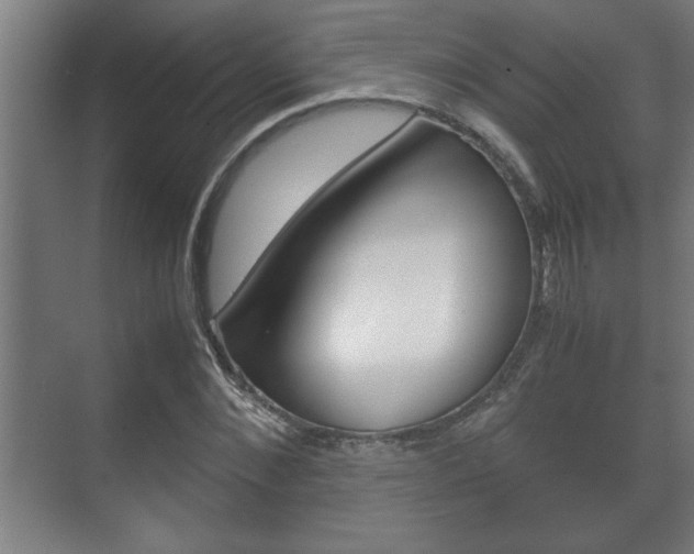 X0000072530876200607141008