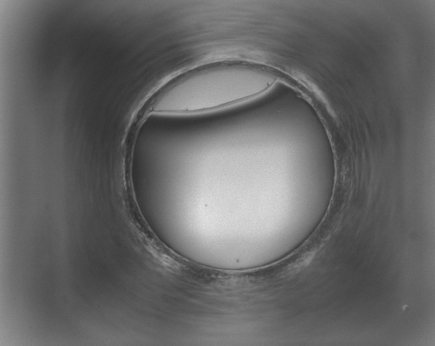 X0000072530877200607141008