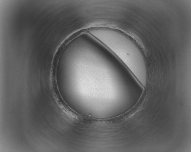X0000072530880200607141007