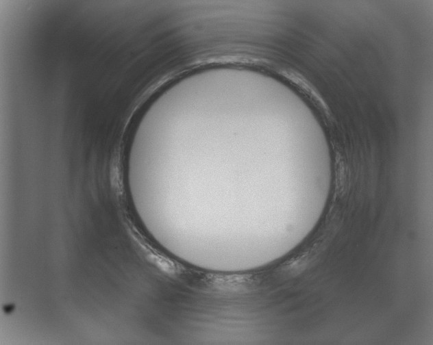X0000072530882200607141007