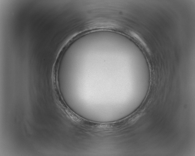 X0000072530883200607141007