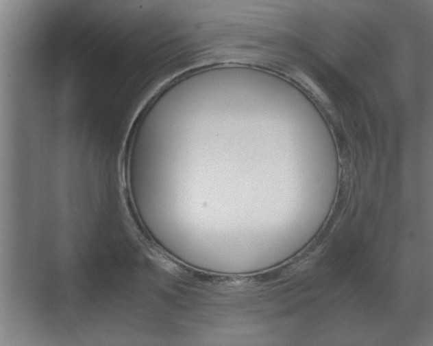 X0000072530891200607141007