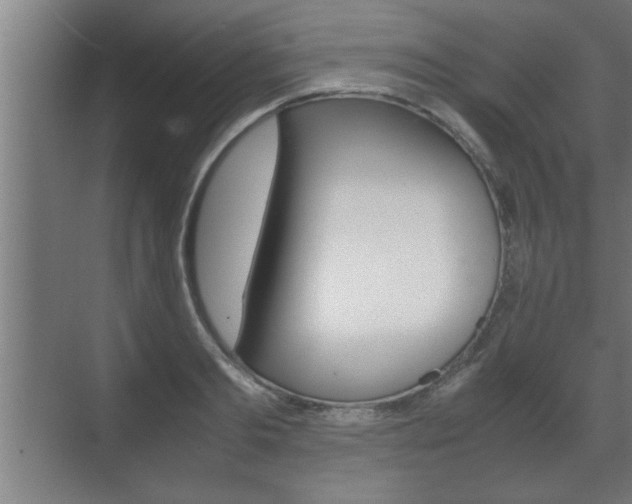 X0000072530893200607141007