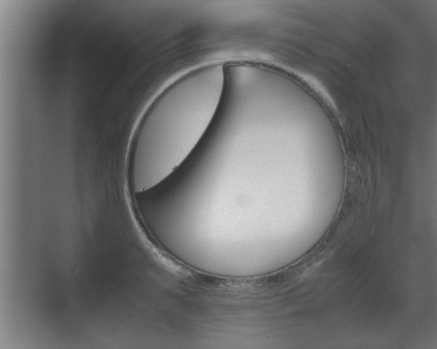 X0000072530895200607141007