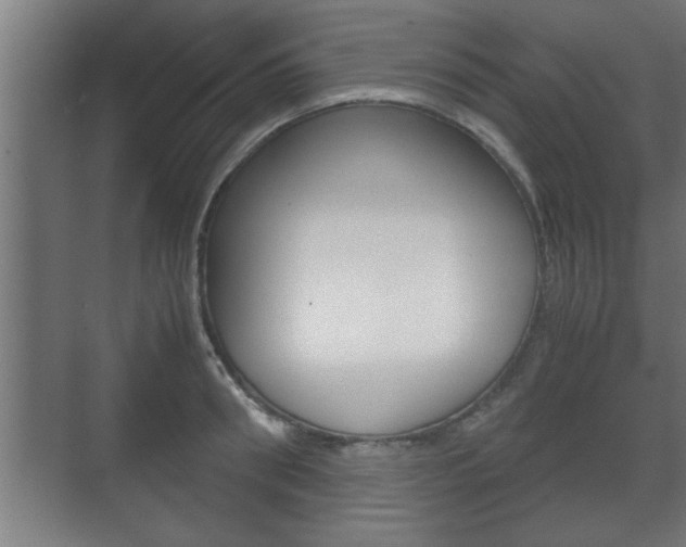 X0000072530898200607141007