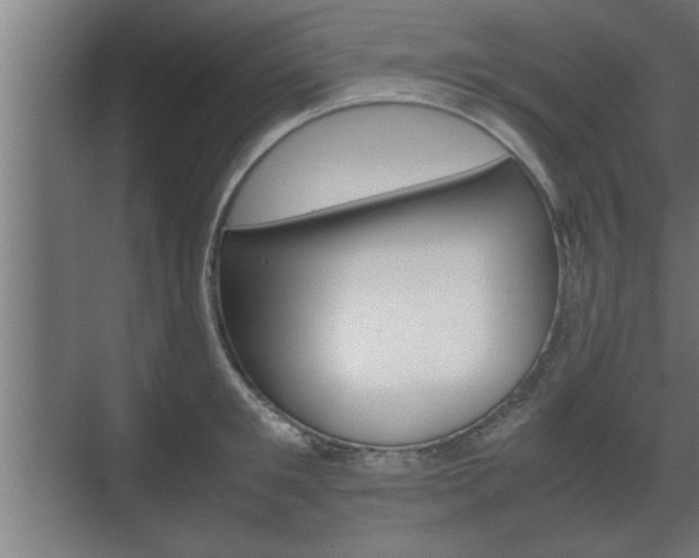 X0000072530901200607141007