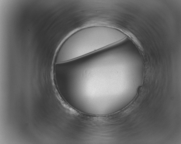 X0000072530904200607141007